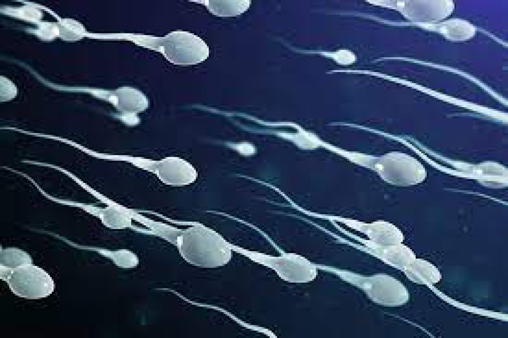 Spermlerimiz tehdit altında mı?